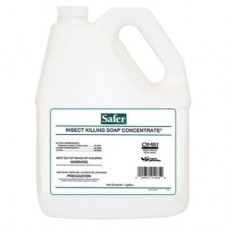 Safer Insect Killing Soap II Conc. Gallon
