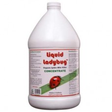 Liquid Ladybug Conc. Gallon