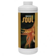 Soul Bloom   Quart