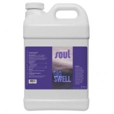 Soul Big Swell 2.5 Gallon