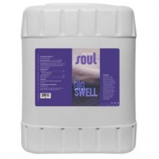 Soul Big Swell 5 Gallon
