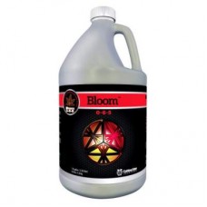 Cutting Edge Bloom   Gallon