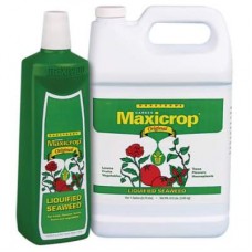 Maxicrop Original Liquid Seaweed 2.5 Gallon