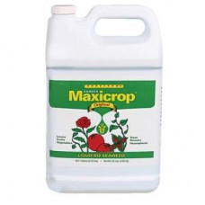 Maxicrop Original Liquid Seaweed  Gallon
