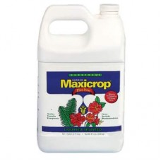 Maxicrop Plus Iron Gallon