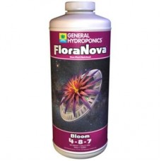 GH FloraNova Bloom   Quart