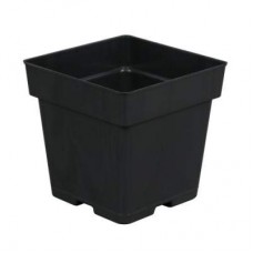 Gro Pro Black Plastic Pot 5.5 in x 5.5 in x 5.75 in