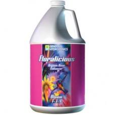 GH Floralicious Bloom   Gallon