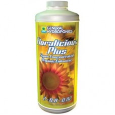 GH Floralicious Plus   Quart