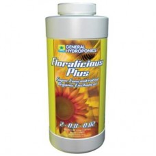 GH Floralicious Plus   Pint