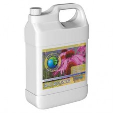 Cultured Solutions Bud Booster Early     Quart
