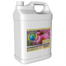 Cultured Solutions Bud Booster Early   2.5 Gallon