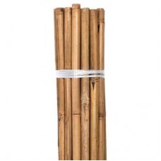 Grower's Edge Natural Bamboo 10 ft Bulk (50/Pack)