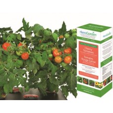 Cherry Tomato Seed Kit