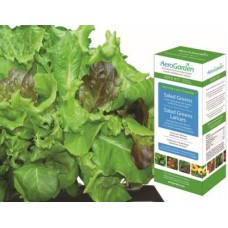 Salad Greens Seed Kit