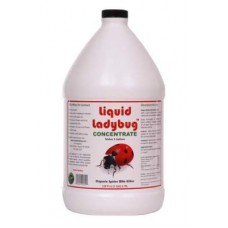 Liquid Ladybug Liquid Ladybug 1 Gallon Concentrate