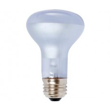 Agrosun Dayspot Incandescent Bulb, 60W