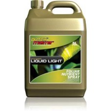 Dutch Master Gold Liquid Light, 5 L
