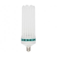 Bulb Comp FL Warm 250W 2700K