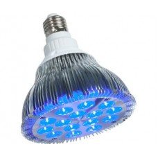 powerPAR LED Bulb-Blue 15W/E27