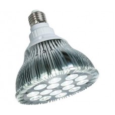 powerPAR LED Bulb-White 15W/E27