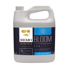 Remo's Bloom  4L